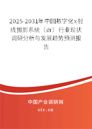 2025-2031年中國(guó)數(shù)字化x射線攝影系統(tǒng)（dr）行業(yè)現(xiàn)狀調(diào)研分析與發(fā)展趨勢(shì)預(yù)測(cè)報(bào)告