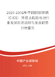 2025-2031年中國(guó)銅銦鎵硒（CIGS）薄膜太陽(yáng)能電池行業(yè)發(fā)展現(xiàn)狀調(diào)研與發(fā)展趨勢(shì)分析報(bào)告
