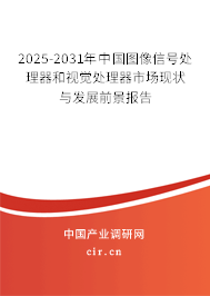 2025-2031年中國(guó)圖像信號(hào)處理器和視覺(jué)處理器市場(chǎng)現(xiàn)狀與發(fā)展前景報(bào)告