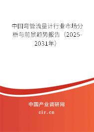 中國彎管流量計行業(yè)市場分析與前景趨勢報告（2025-2031年）