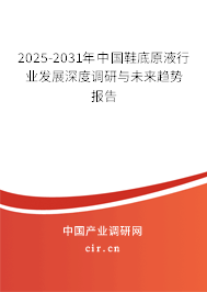 2025-2031年中國鞋底原液行業(yè)發(fā)展深度調(diào)研與未來趨勢報告