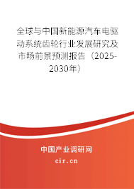 全球與中國新能源汽車電驅(qū)動(dòng)系統(tǒng)齒輪行業(yè)發(fā)展研究及市場前景預(yù)測報(bào)告（2025-2030年）