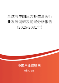 全球與中國(guó)壓力補(bǔ)償?shù)晤^行業(yè)發(fā)展調(diào)研及前景分析報(bào)告（2025-2031年）
