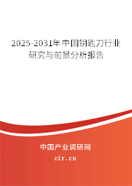 2025-2031年中國鑰匙刀行業(yè)研究與前景分析報告