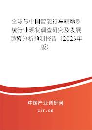 全球與中國(guó)智能行車輔助系統(tǒng)行業(yè)現(xiàn)狀調(diào)查研究及發(fā)展趨勢(shì)分析預(yù)測(cè)報(bào)告（2025年版）