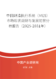 中國制造執(zhí)行系統(tǒng)（MES）市場(chǎng)現(xiàn)狀調(diào)研與發(fā)展前景分析報(bào)告（2025-2031年）