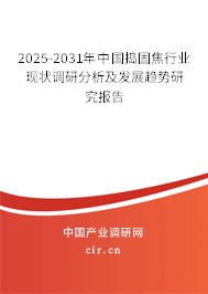 2025-2031年中國(guó)搗固焦行業(yè)現(xiàn)狀調(diào)研分析及發(fā)展趨勢(shì)研究報(bào)告