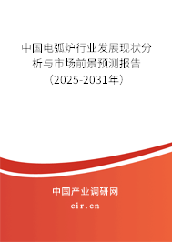 中國電弧爐行業(yè)發(fā)展現(xiàn)狀分析與市場前景預(yù)測報告（2025-2031年）