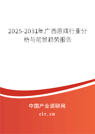 2025-2031年廣西原煤行業(yè)分析與前景趨勢報(bào)告