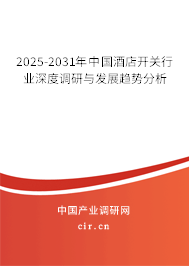 2025-2031年中國酒店開關(guān)行業(yè)深度調(diào)研與發(fā)展趨勢分析