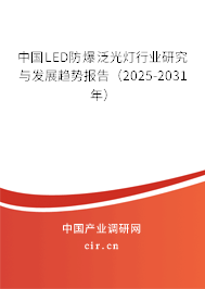 中國(guó)LED防爆泛光燈行業(yè)研究與發(fā)展趨勢(shì)報(bào)告（2025-2031年）