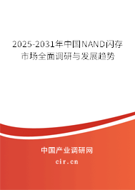 2025-2031年中國NAND閃存市場全面調(diào)研與發(fā)展趨勢