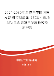 2024-2030年全球與中國(guó)汽車(chē)發(fā)動(dòng)機(jī)控制單元（ECU）市場(chǎng)現(xiàn)狀全面調(diào)研與發(fā)展趨勢(shì)預(yù)測(cè)報(bào)告