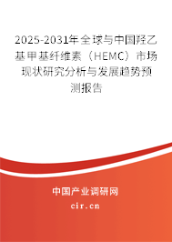 2025-2031年全球與中國(guó)羥乙基甲基纖維素（HEMC）市場(chǎng)現(xiàn)狀研究分析與發(fā)展趨勢(shì)預(yù)測(cè)報(bào)告