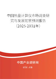 中國(guó)熱量計(jì)算儀市場(chǎng)調(diào)查研究與發(fā)展前景預(yù)測(cè)報(bào)告（2025-2031年）