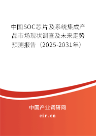 中國(guó)SOC芯片及系統(tǒng)集成產(chǎn)品市場(chǎng)現(xiàn)狀調(diào)查及未來(lái)走勢(shì)預(yù)測(cè)報(bào)告（2024-2030年）