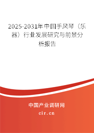 2025-2031年中國手風琴（樂器）行業(yè)發(fā)展研究與前景分析報告