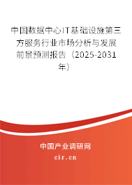 中國數(shù)據(jù)中心IT基礎(chǔ)設(shè)施第三方服務(wù)行業(yè)市場分析與發(fā)展前景預(yù)測報告（2025-2031年）