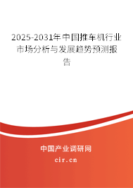 2025-2031年中國(guó)推車機(jī)行業(yè)市場(chǎng)分析與發(fā)展趨勢(shì)預(yù)測(cè)報(bào)告