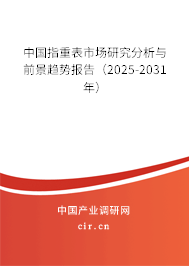 中國(guó)指重表市場(chǎng)研究分析與前景趨勢(shì)報(bào)告（2025-2031年）