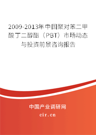2009-2013年中國聚對苯二甲酸丁二醇酯（PBT）市場動態(tài)與投資前景咨詢報(bào)告