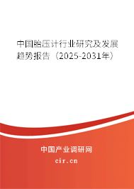 中國胎壓計行業(yè)研究及發(fā)展趨勢報告(2025-2031年) 中國胎壓計行業(yè)研究及發(fā)展趨勢報告(2025-2031年)