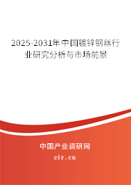 2025-2031年中國(guó)鍍鋅鋼絲行業(yè)研究分析與市場(chǎng)前景