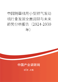 中國割草機用小型燃?xì)獍l(fā)動機行業(yè)發(fā)展全面調(diào)研與未來趨勢分析報告（2024-2030年）