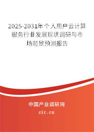 2025-2031年個人用戶云計算服務行業(yè)發(fā)展現(xiàn)狀調研與市場前景預測報告