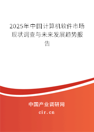 2025年中國計算機軟件市場現(xiàn)狀調(diào)查與未來發(fā)展趨勢報告