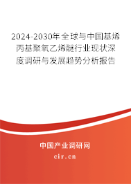 2024-2030年全球與中國基烯丙基聚氧乙烯醚行業(yè)現(xiàn)狀深度調(diào)研與發(fā)展趨勢分析報(bào)告
