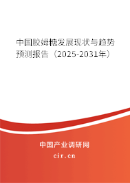 中國膠姆糖發(fā)展現(xiàn)狀與趨勢預測報告（2025-2031年）