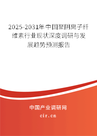 2025-2031年中國聚陰離子纖維素行業(yè)現(xiàn)狀深度調(diào)研與發(fā)展趨勢預(yù)測報告