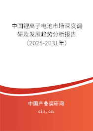 中國鋰離子電池市場深度調(diào)研及發(fā)展趨勢分析報(bào)告（2025-2031年）
