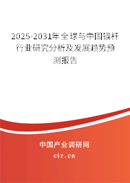2025-2031年全球與中國錨桿行業(yè)研究分析及發(fā)展趨勢預(yù)測報(bào)告