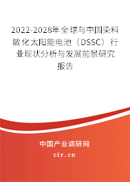 2022-2028年全球與中國染料敏化太陽能電池（DSSC）行業(yè)現(xiàn)狀分析與發(fā)展前景研究報告