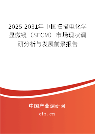 2025-2031年中國(guó)掃描電化學(xué)顯微鏡（SECM）市場(chǎng)現(xiàn)狀調(diào)研分析與發(fā)展前景報(bào)告
