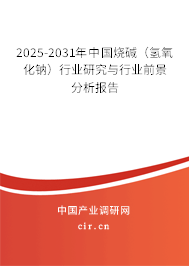 2025-2031年中國(guó)燒堿（氫氧化鈉）行業(yè)研究與行業(yè)前景分析報(bào)告