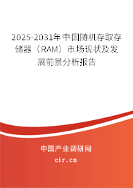 2025-2031年中國(guó)隨機(jī)存取存儲(chǔ)器（RAM）市場(chǎng)現(xiàn)狀及發(fā)展前景分析報(bào)告