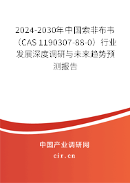 2024-2030年中國索非布韋（CAS 1190307-88-0）行業(yè)發(fā)展深度調(diào)研與未來趨勢預(yù)測報(bào)告