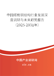 中國塔桅鋼結(jié)構(gòu)行業(yè)發(fā)展深度調(diào)研與未來趨勢(shì)報(bào)告（2025-2031年）