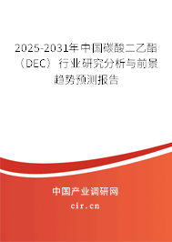 2025-2031年中國(guó)碳酸二乙酯（DEC）行業(yè)研究分析與前景趨勢(shì)預(yù)測(cè)報(bào)告