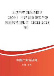 全球與中國(guó)系統(tǒng)模塊（SOM）市場(chǎng)調(diào)查研究與發(fā)展趨勢(shì)預(yù)測(cè)報(bào)告（2022-2028年）