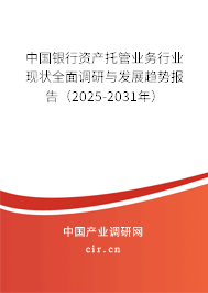 中國銀行資產(chǎn)托管業(yè)務(wù)行業(yè)現(xiàn)狀全面調(diào)研與發(fā)展趨勢報告（2025-2031年）