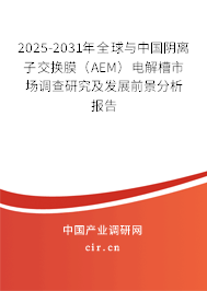 2025-2031年全球與中國陰離子交換膜(AEM)電解槽市場調(diào)查研究及發(fā)展前景分析報(bào)告 2025-2031年全球與中國陰離子交換膜(AEM)電解槽市場調(diào)查研究及發(fā)展前景分析報(bào)告