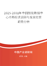 2025-2031年中國智能數(shù)據(jù)中心市場現(xiàn)狀調(diào)研與發(fā)展前景趨勢分析