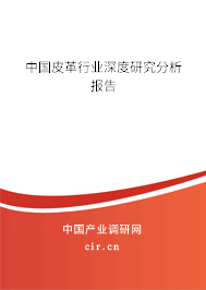 中國皮革行業(yè)深度研究分析報(bào)告