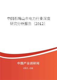 中國石嘴山市電力行業(yè)深度研究分析報告（2012）