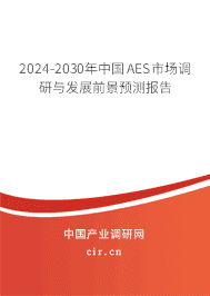 2023-2029年中國AES市場調研與發(fā)展前景預測報告