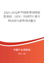 2025-2031年中國布魯頓酪氨酸激酶（BTK）抑制劑行業(yè)市場調研與趨勢預測報告